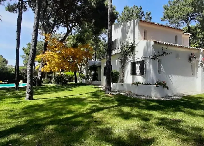 Ferienhaus Pinhal- Beautiful Located In Quiet Area *